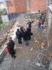 Почетак градње